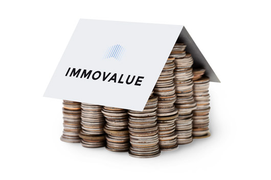 ImmoValue Geldhaus